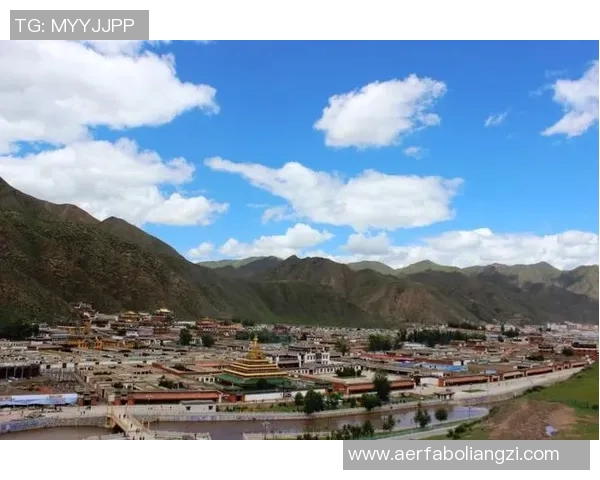 甘南地区足球明星全景盘点与成就回顾