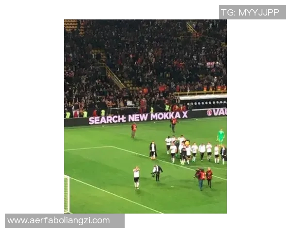 纳姓足球明星的辉煌历程与成就探索