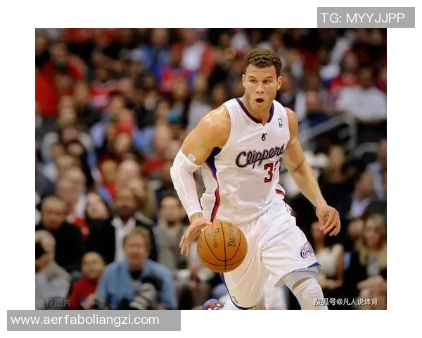 篮球明星的爱情故事与赛场荣耀交织的浪漫旅程