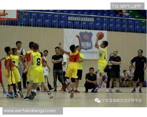 金明星篮球俱乐部携手青少年培养计划助力未来篮球人才成长